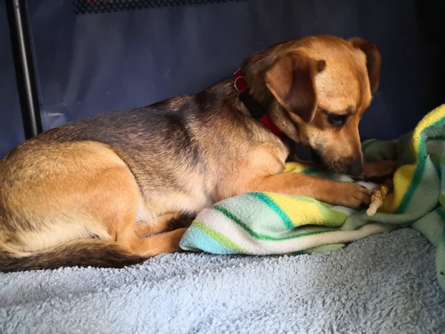 1 PHOTO 2020 05 24 18 10 38