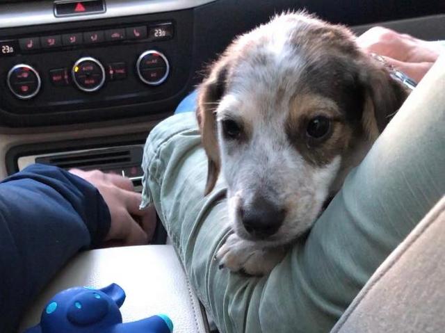 1 PHOTO1 2020 05 24 18 03 09