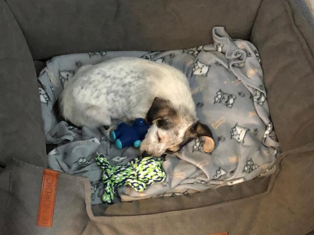 1 PHOTO2 2020 05 24 18 03 21