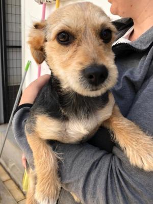 thumb IMG 20200511 WA0009