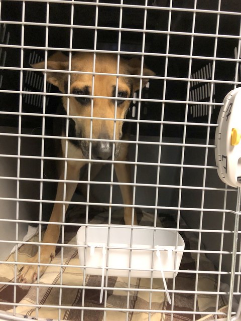 1 cid 170dc390a705ea66681