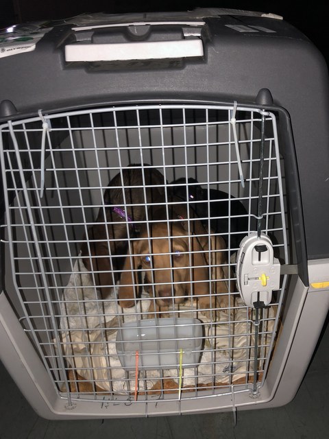 1 cid 170dc3930a070961c662