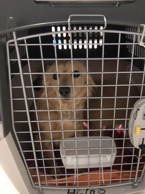 1 cid 170dc39680e866df96c3