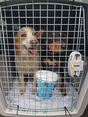 1 92350334 3075283619183738 2601429143925030912 n