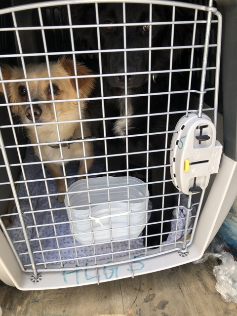 1 cid 171558f89302eb1b36a1