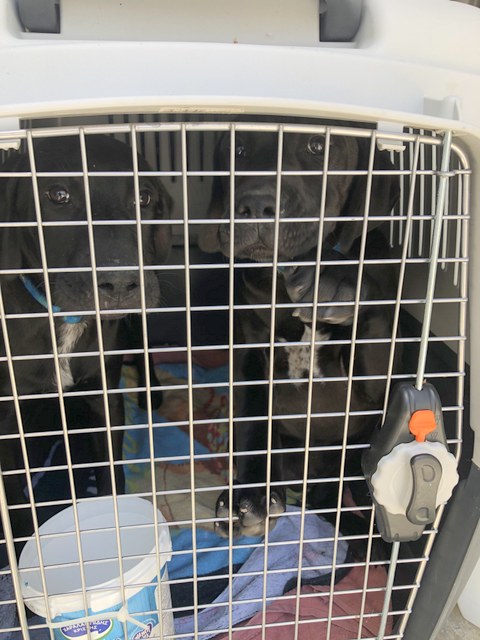 1 cid 171558faa2de4078e692