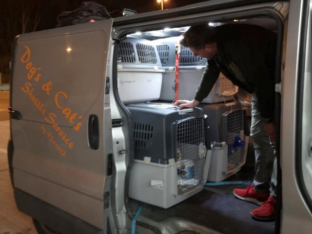 1 PHOTO 2020 04 11 15 42 055