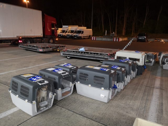 1 PHOTO2 2020 04 11 15 42 58