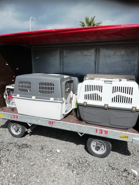 1 IMG1 20200319 100952