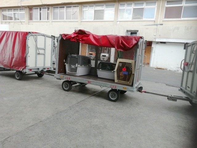 1 IMG4 20200319 104200