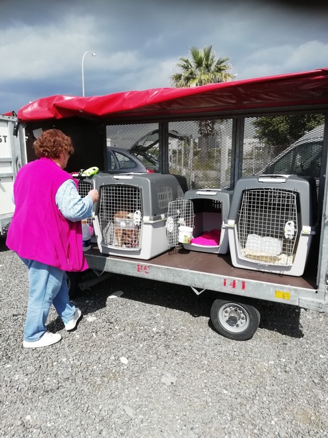 1 IMG 20200319 100944