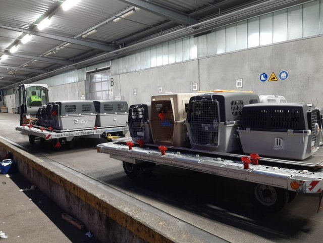 1 PHOTO10 2020 03 23 16 52 06