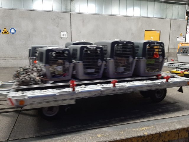 1 PHOTO8 2020 03 23 16 52 06