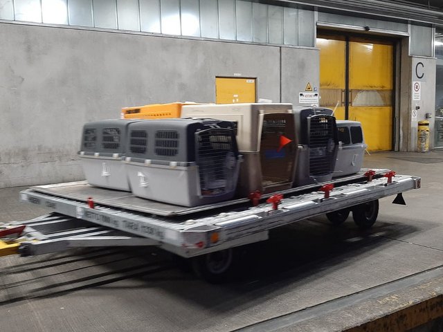 1 PHOTO9 2020 03 23 16 52 06