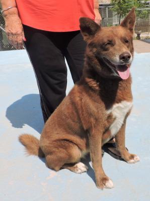 thumb 1 Fae Photo 1 July 2019