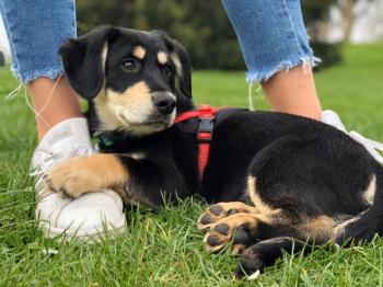 thumb 1 PHOTO1 2020 03 22 12 48 35