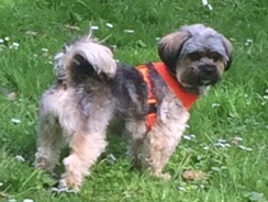 IMG 20150430 WA0024 001