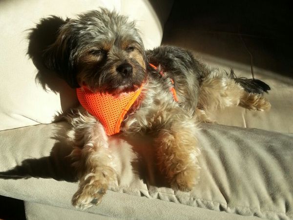 IMG 20150430 WA0027 001