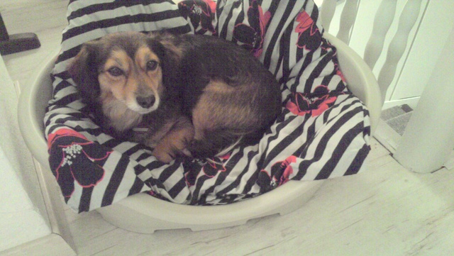 1 IMG 20150911 075832 906