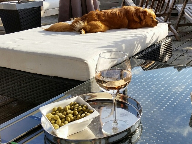 1 20150418 180747 resized