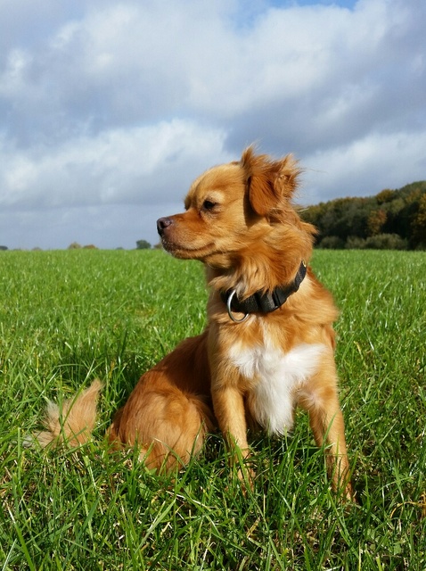 1 20151023 123510 resized