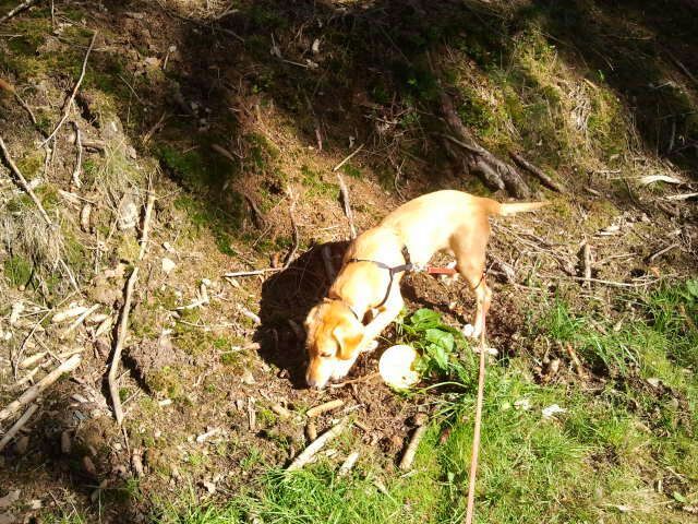 1 IMG 20150927 WA0025