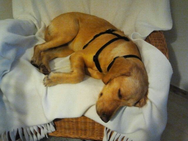 1 IMG 20151116 WA0001