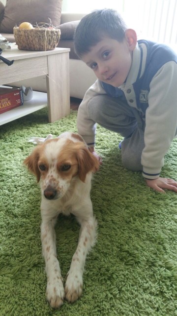 1 IMG 20150516 WA0001