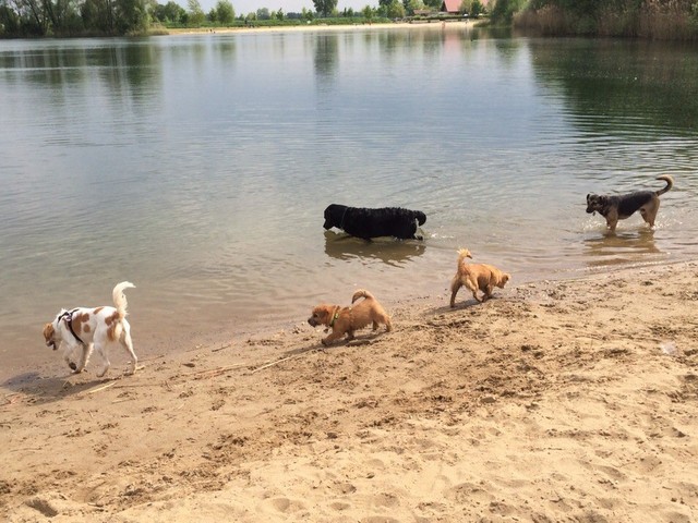 1 IMG 20150517 WA0003