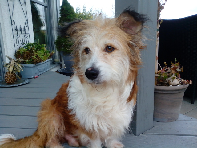 1 IMG 20151016 132325