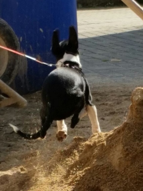 1 IMG 20150805 WA0001 002