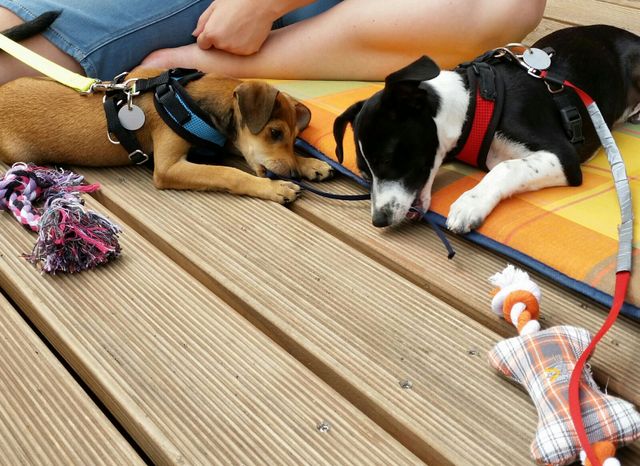 1 IMG 20150814 WA0001