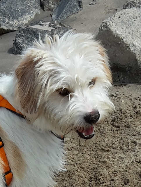 1 20150722 125552 001