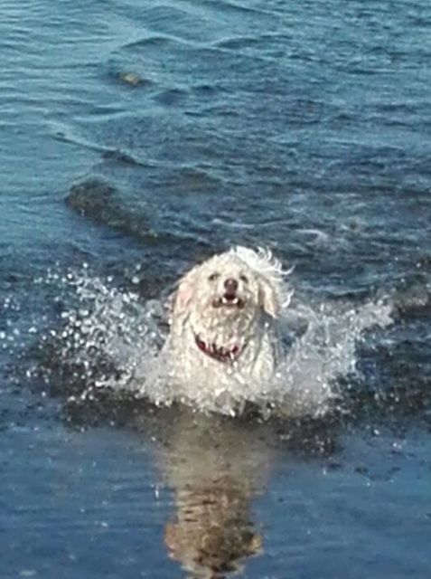 1 IMG 20150930 WA0003