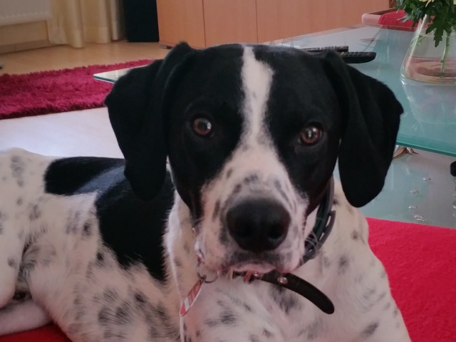 1 20150703 134518 001