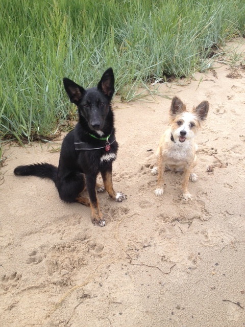 1 cid 1455E6AD 73F5 40C7 8A0C 0D92DC9C3D64