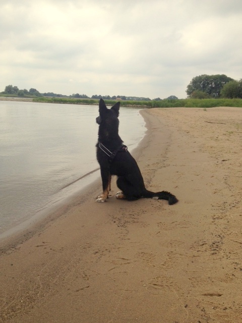 1 cid 39999BF3 E502 48BB BA0A B9897A03819A