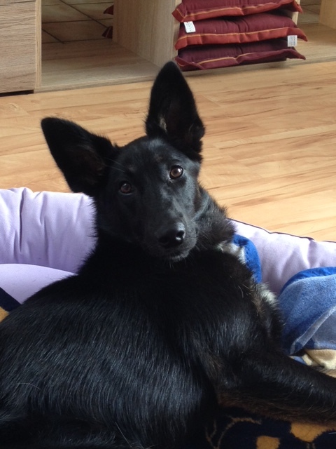 1 cid 3CDE5BC1 1AA1 4999 B569 99177E94C281