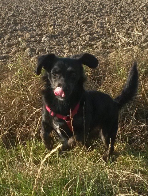 1 20150826 083225 001