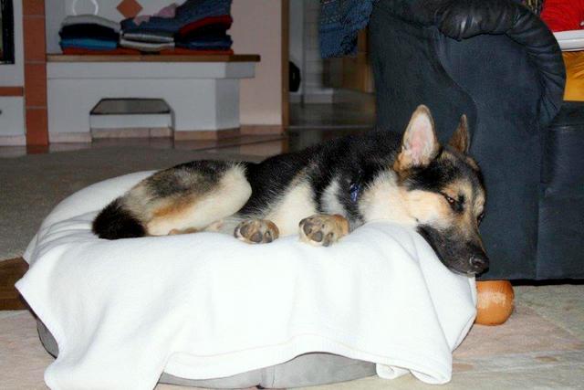 1 20150622 Micha 0005