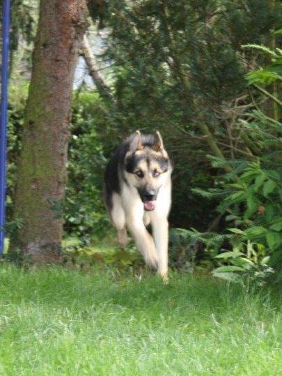 1 20150623 Micha 0014