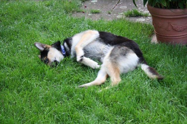 1 20150623 Micha 0020