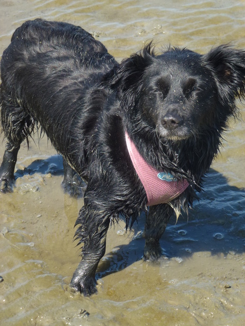 1 cid 10e9cfb5 5602 4428 8bae 905d4a6a0a7bicloud