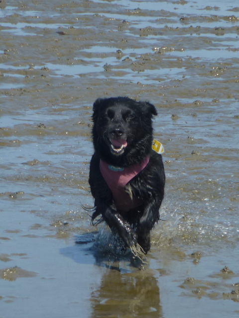 1 cid aa830c9d dc7d 49ce 8cab 9d00999b8e59icloud