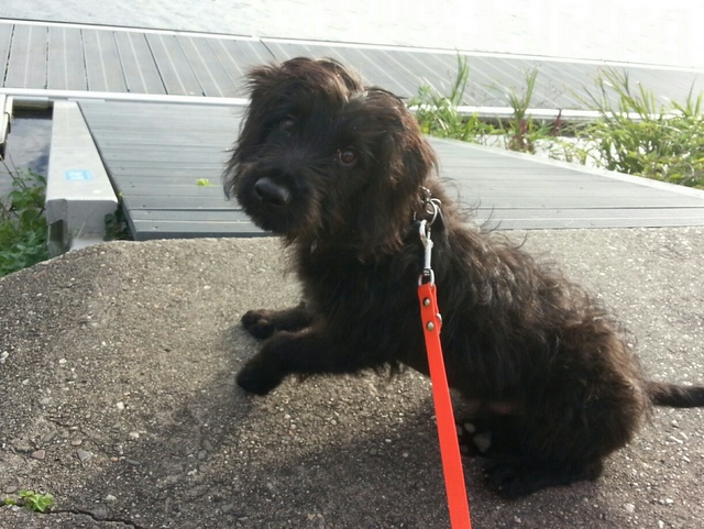 1 2015 07 05 11.06.28 resized