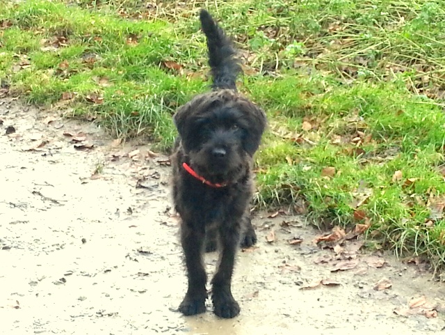 1 20150115 150005 resized