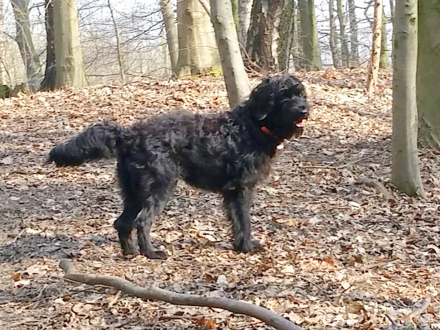 1 20150410 095051 resized