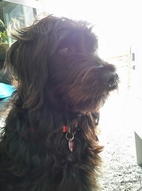 1 20150705 111217 resized