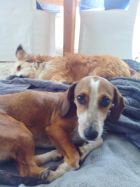 1 IMG 20151025 122301