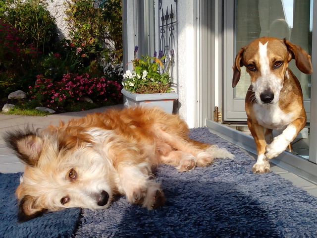 1 IMG 20151026 102405 001